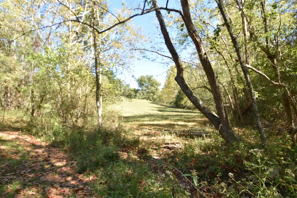 3979 Baker Ridge Road Willisburg KY 40078