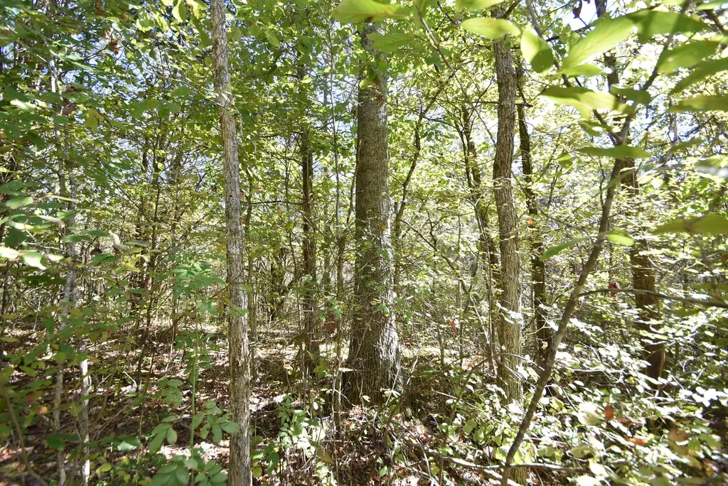 3979 Baker Ridge Road Willisburg KY 40078