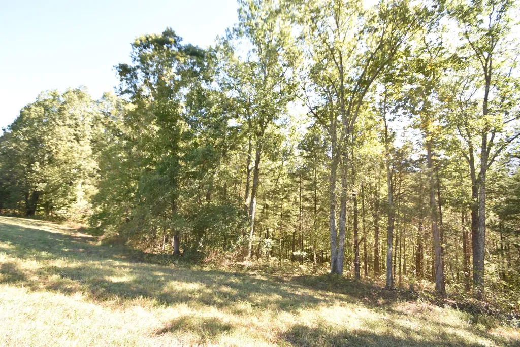 3979 Baker Ridge Road Willisburg KY 40078
