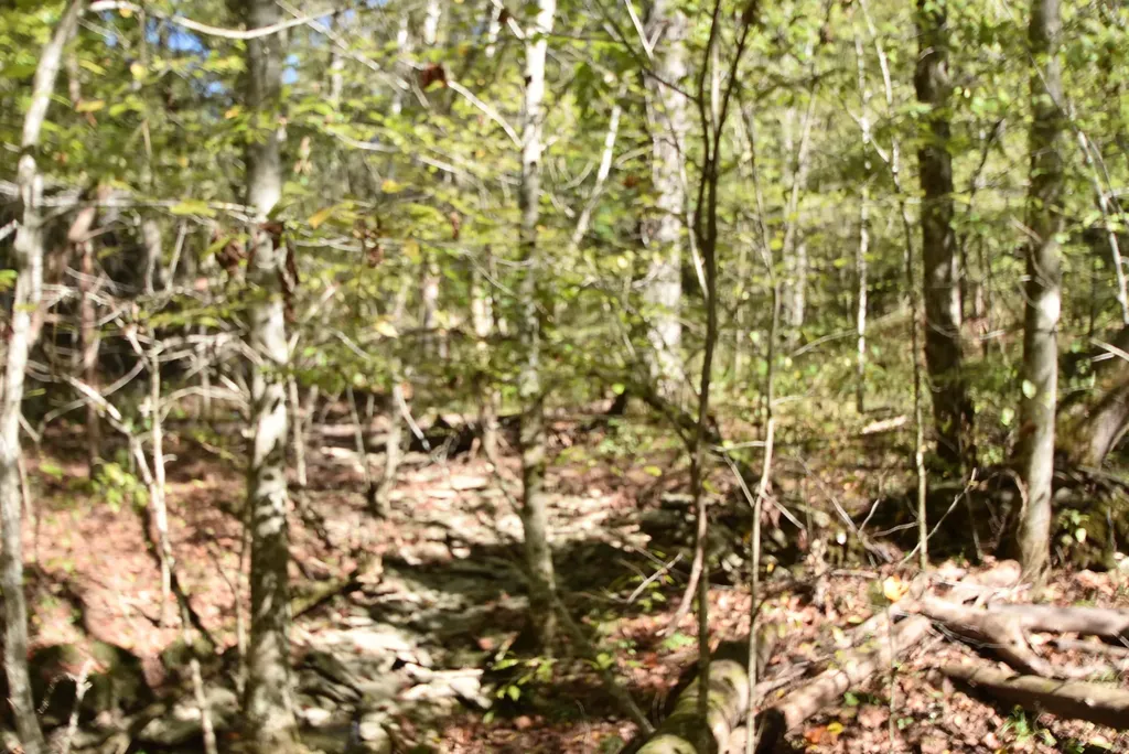 3979 Baker Ridge Road Willisburg KY 40078