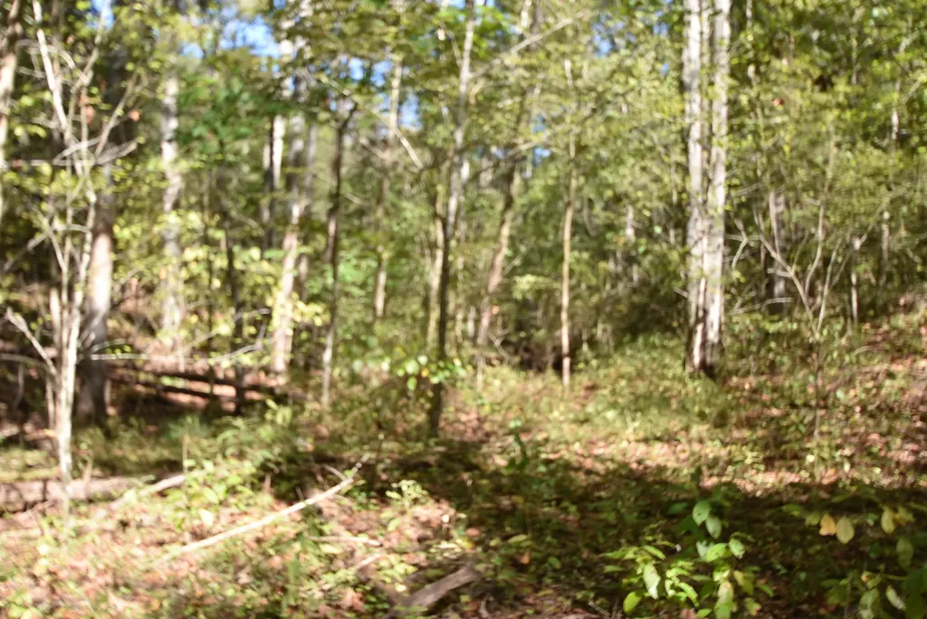 3979 Baker Ridge Road Willisburg KY 40078