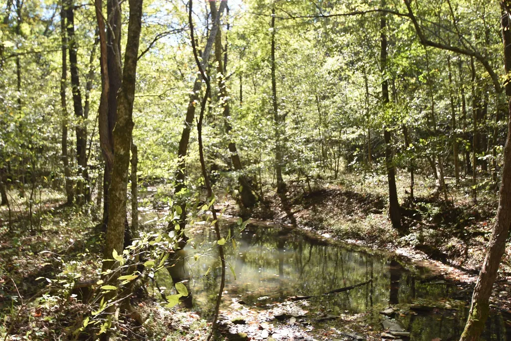 3979 Baker Ridge Road Willisburg KY 40078