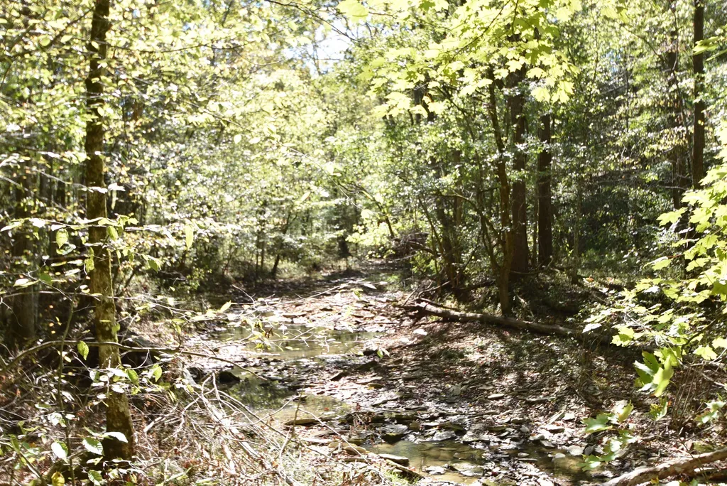 3979 Baker Ridge Road Willisburg KY 40078
