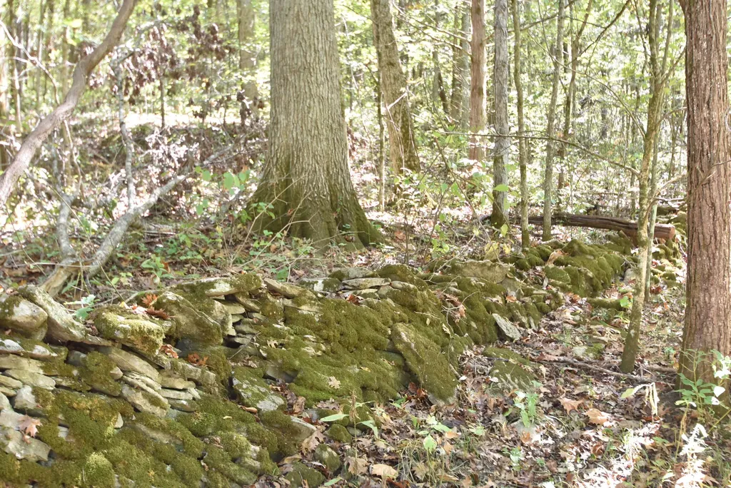 3979 Baker Ridge Road Willisburg KY 40078