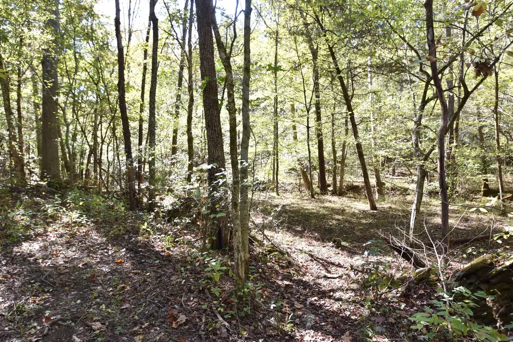 3979 Baker Ridge Road Willisburg KY 40078