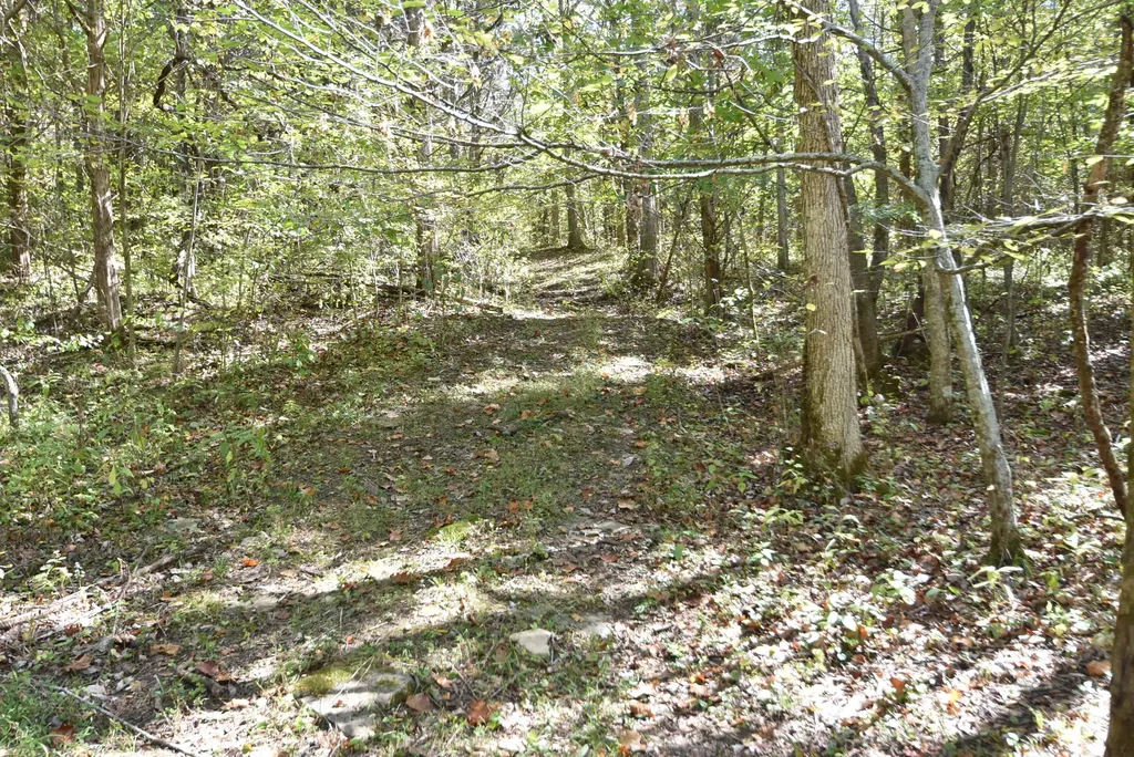 3979 Baker Ridge Road Willisburg KY 40078