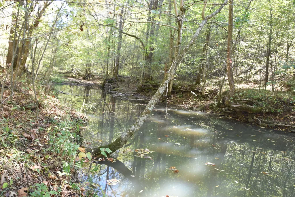3979 Baker Ridge Road Willisburg KY 40078