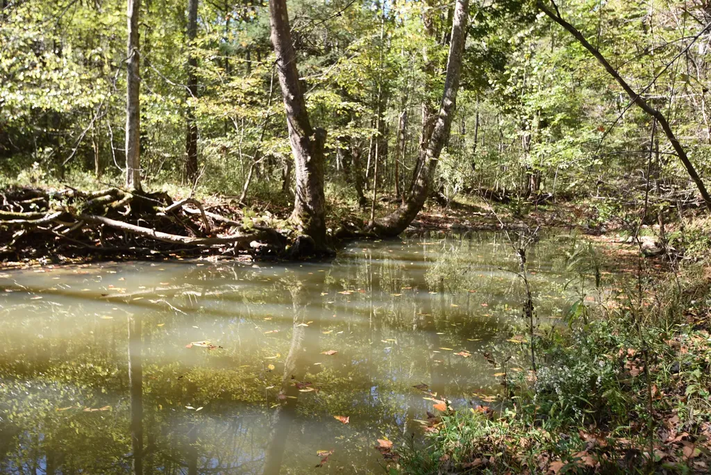 3979 Baker Ridge Road Willisburg KY 40078