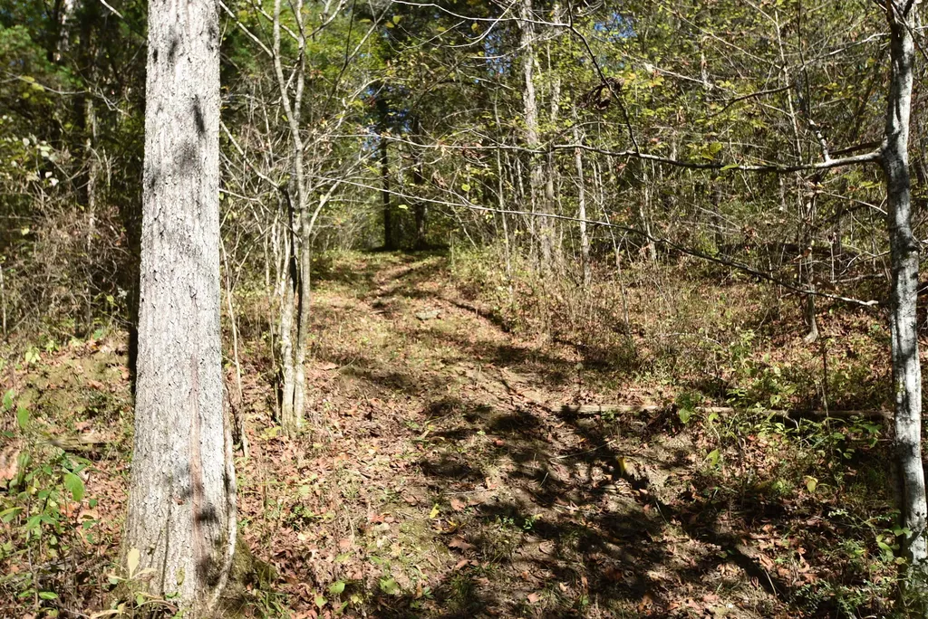 3979 Baker Ridge Road Willisburg KY 40078