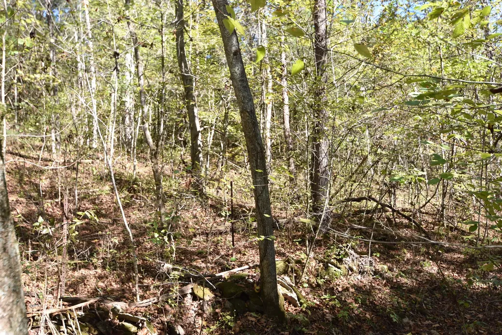 3979 Baker Ridge Road Willisburg KY 40078