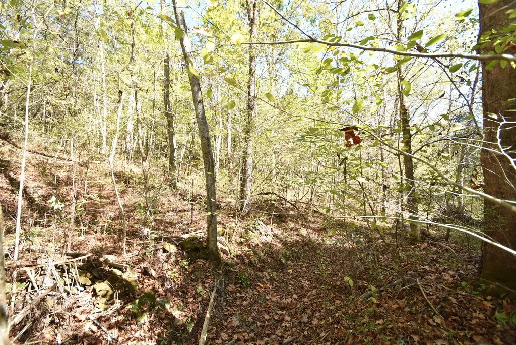 3979 Baker Ridge Road Willisburg KY 40078