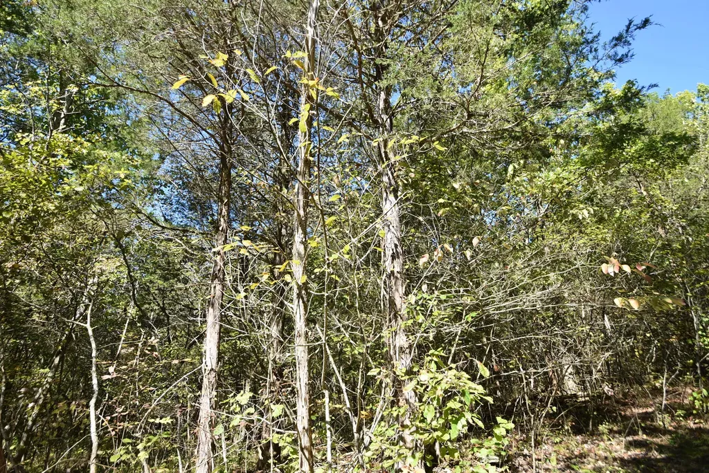 3979 Baker Ridge Road Willisburg KY 40078