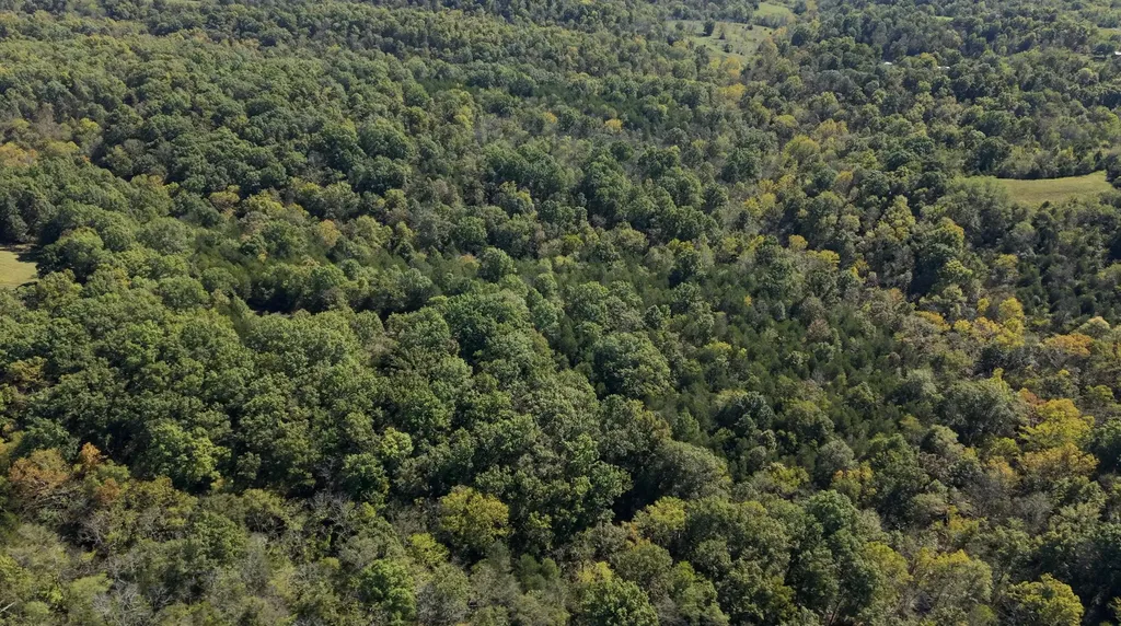 3979 Baker Ridge Road Willisburg KY 40078