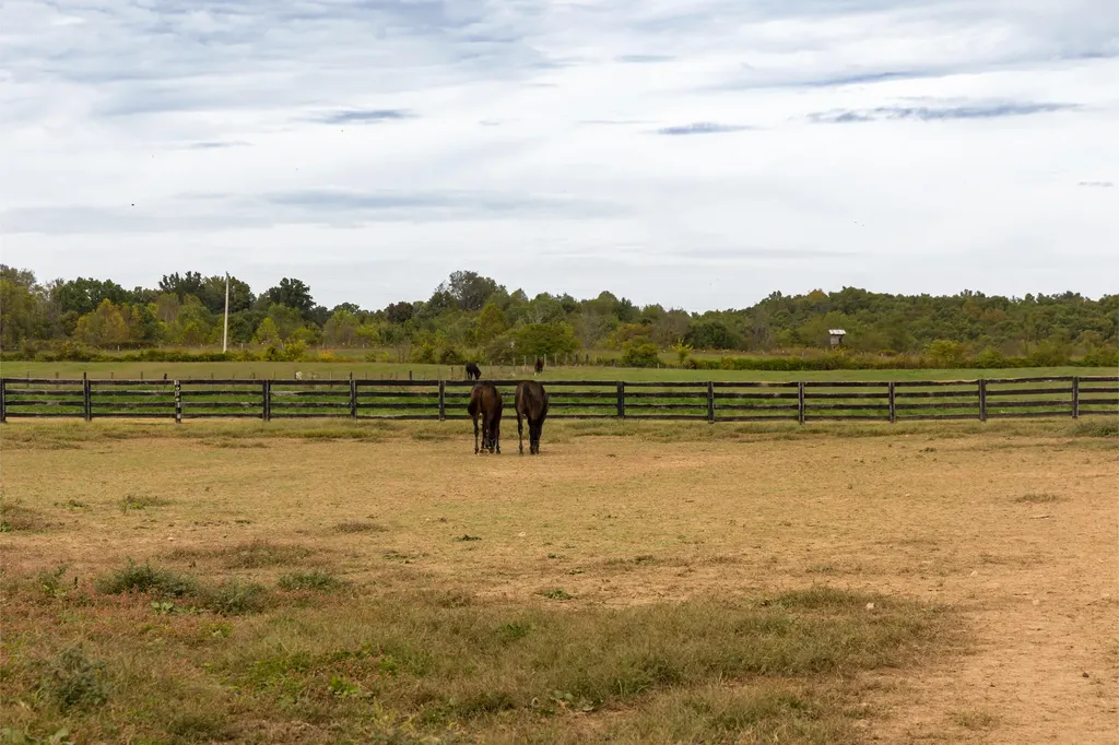 4962 Kendall Springs Road Owingsville KY 40360