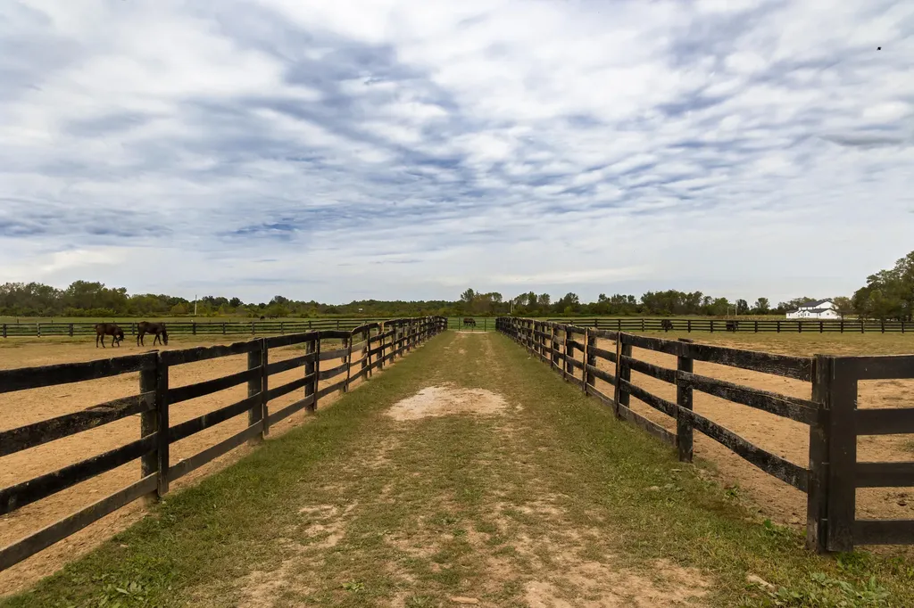 4962 Kendall Springs Road Owingsville KY 40360