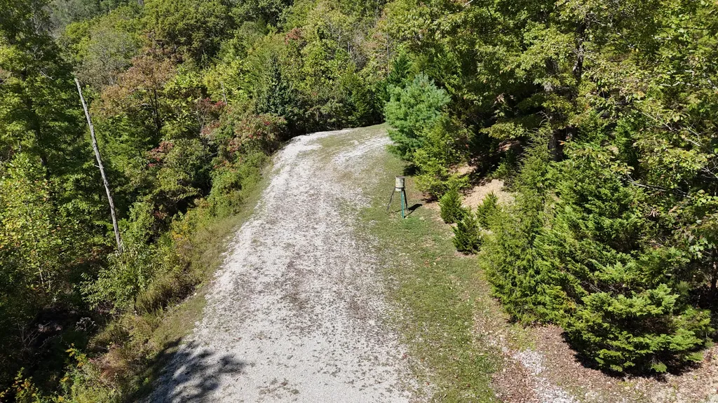 420 Alan Lewis Road East Bernstadt KY 40729