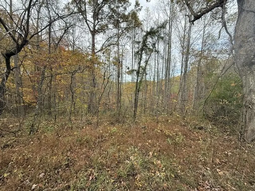 123 Crestmont-hales Ridge Beattyville KY 41311