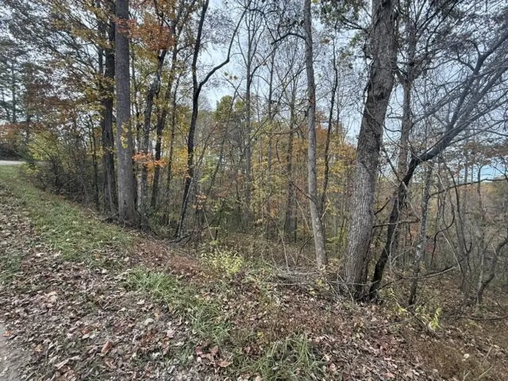 123 Crestmont-hales Ridge Beattyville KY 41311
