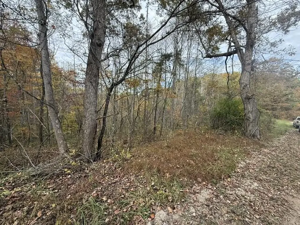 123 Crestmont-hales Ridge Beattyville KY 41311