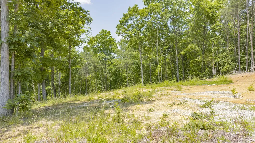 494 Andrew Parmley Road Monticello KY 42633