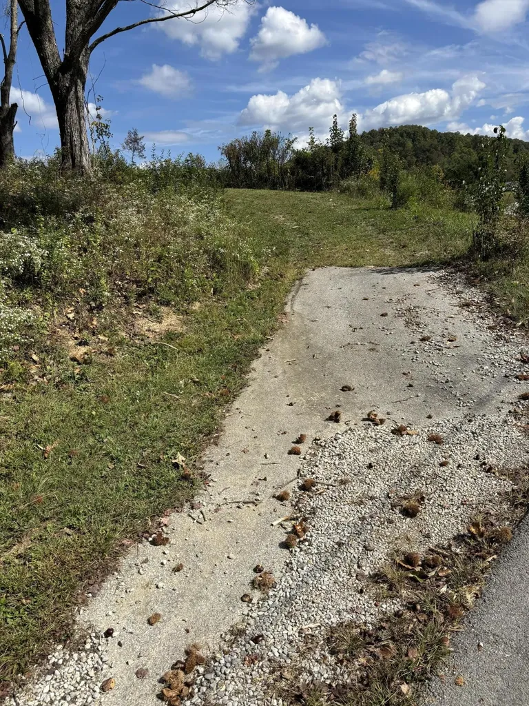 47 Old Farm Road Cannon KY 40923