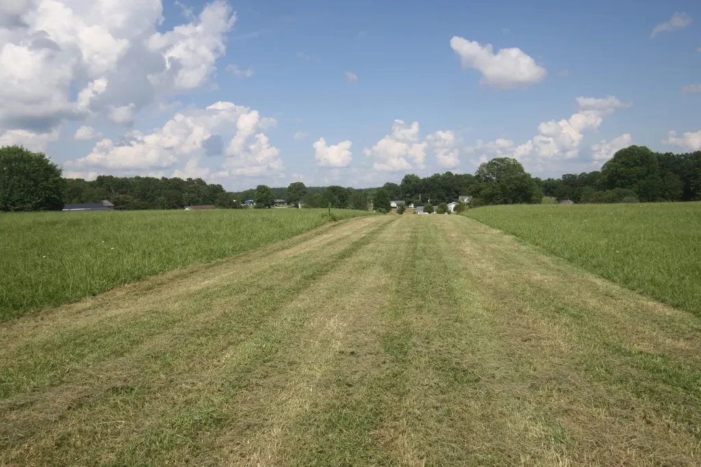 1 State Highway 290 South Mckee KY 40447