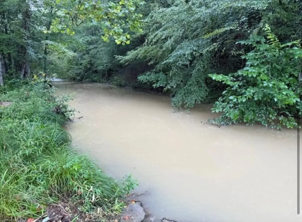 Tbd Meyers Fork Road Denniston KY 40316
