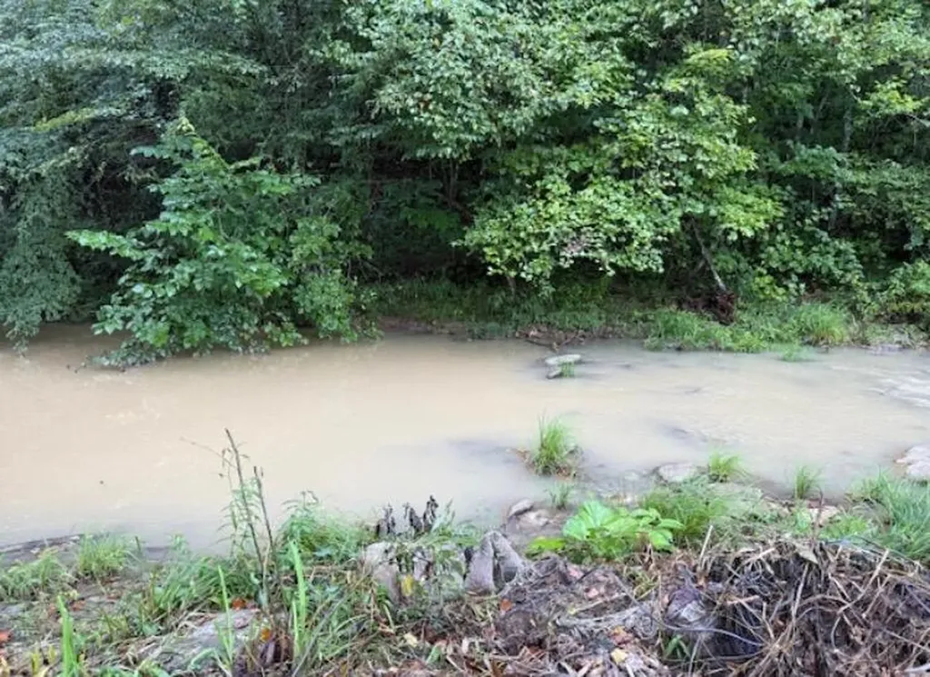 Tbd Meyers Fork Road Denniston KY 40316