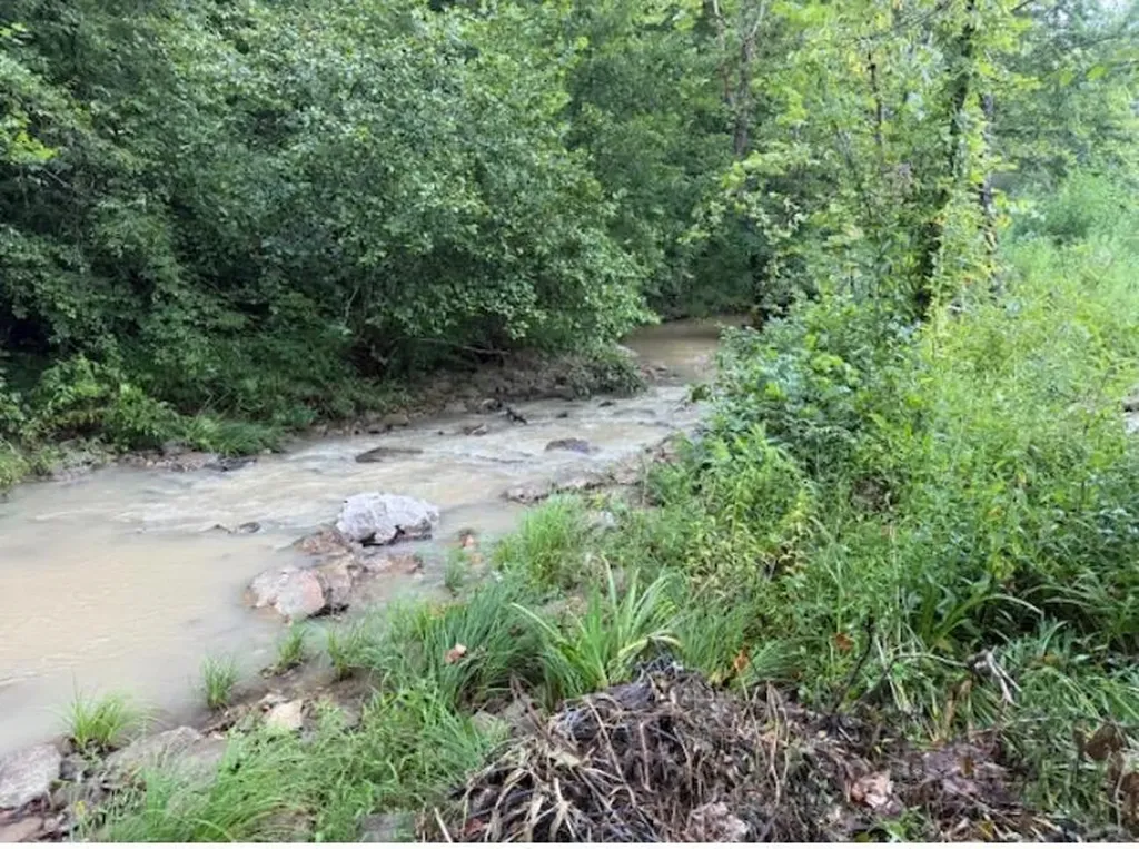 Tbd Meyers Fork Road Denniston KY 40316