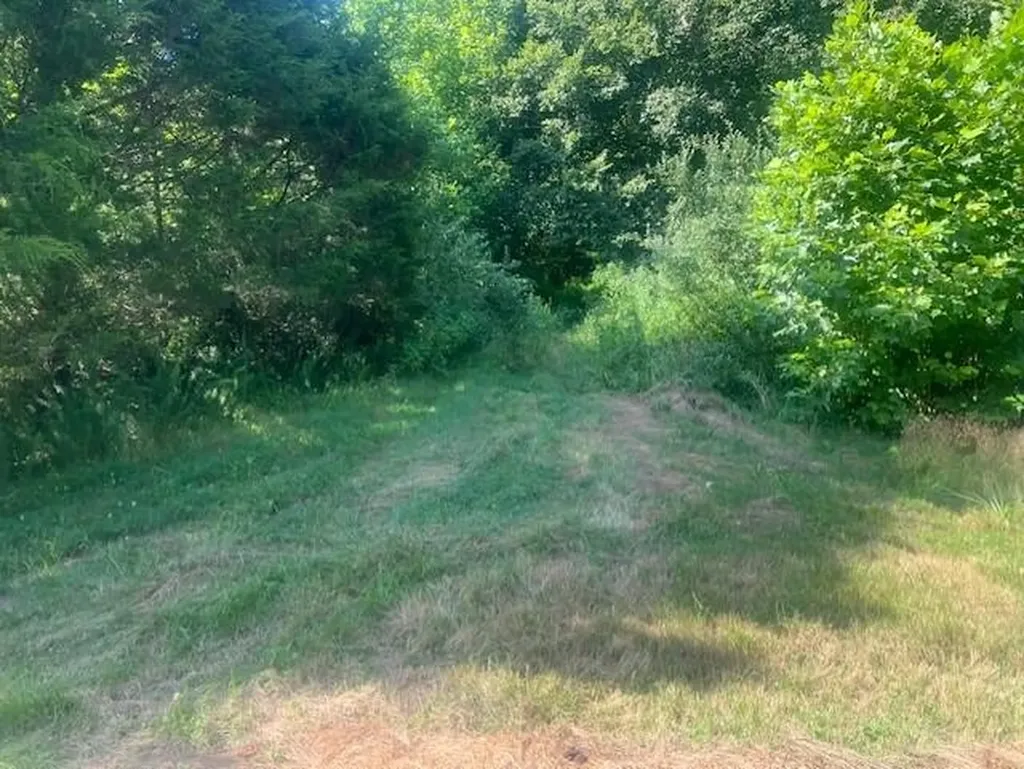 10625 Brushy Road Pikeville KY 41501