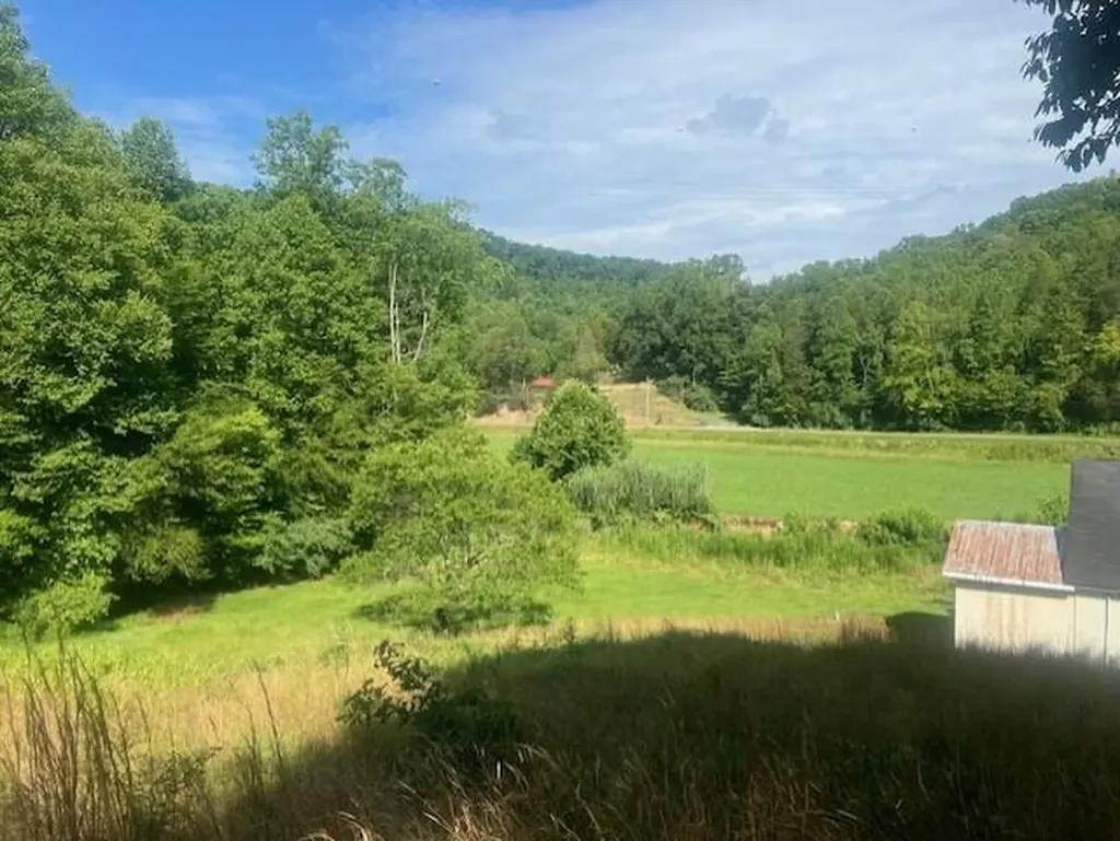 10625 Brushy Road Pikeville KY 41501