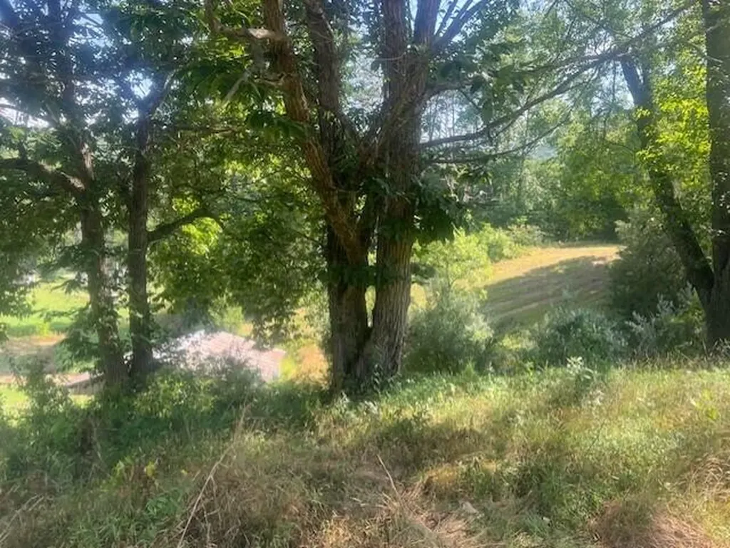 10625 Brushy Road Pikeville KY 41501