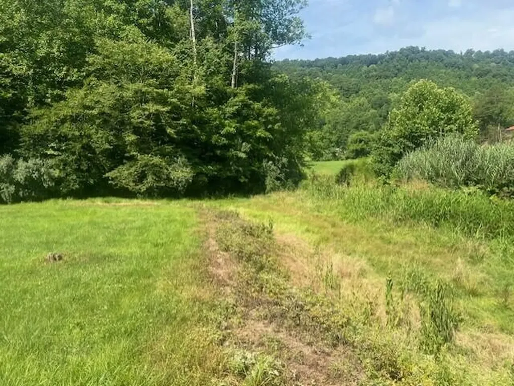 10625 Brushy Road Pikeville KY 41501