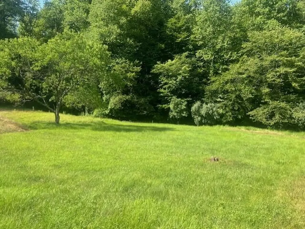 10625 Brushy Road Pikeville KY 41501