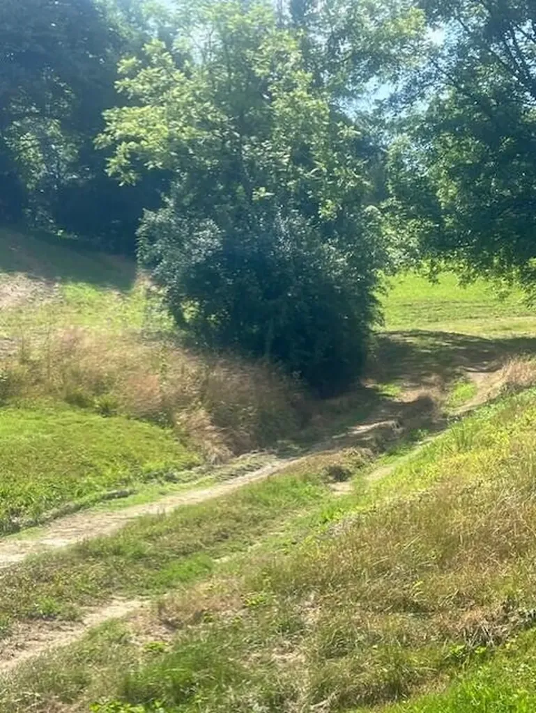 10625 Brushy Road Pikeville KY 41501