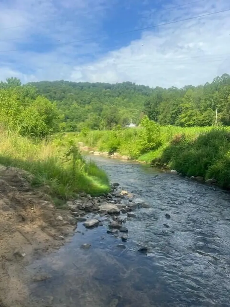 10625 Brushy Road Pikeville KY 41501