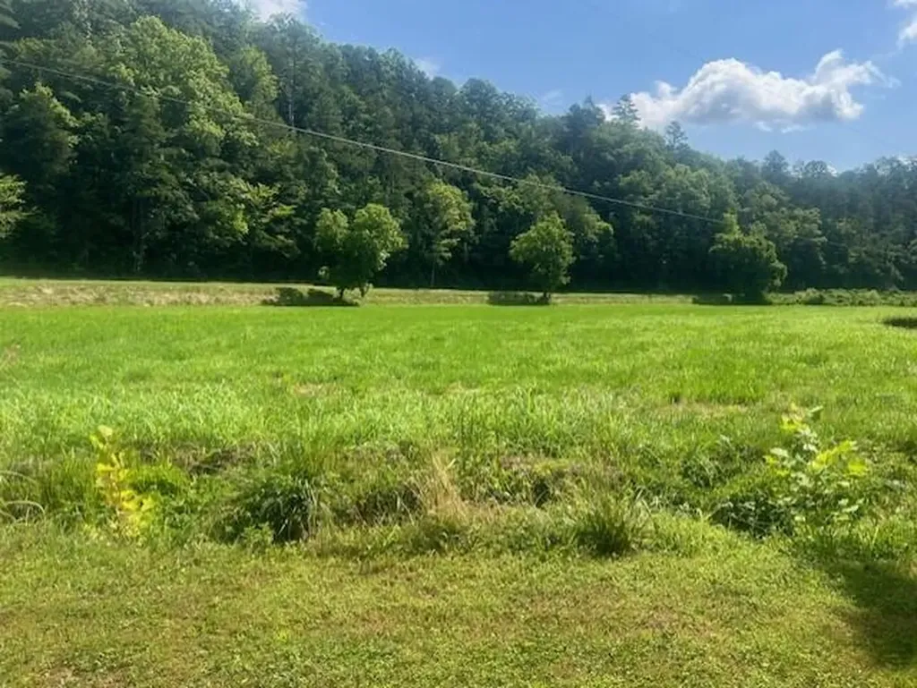 10625 Brushy Road Pikeville KY 41501