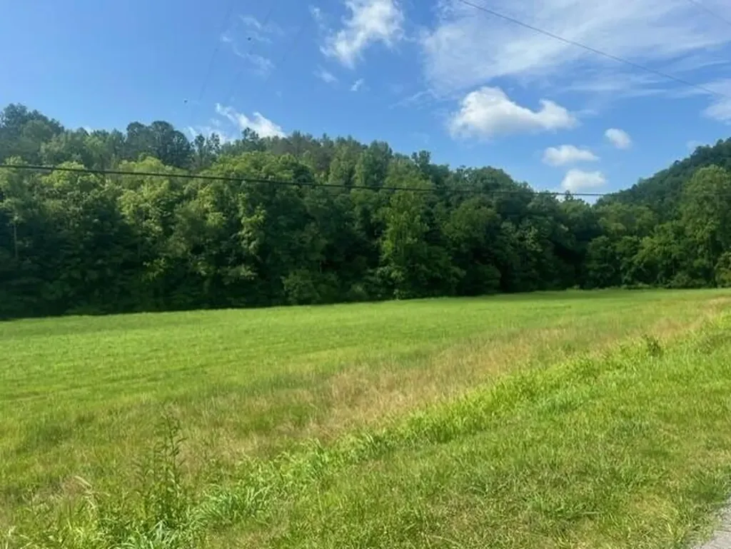 10625 Brushy Road Pikeville KY 41501