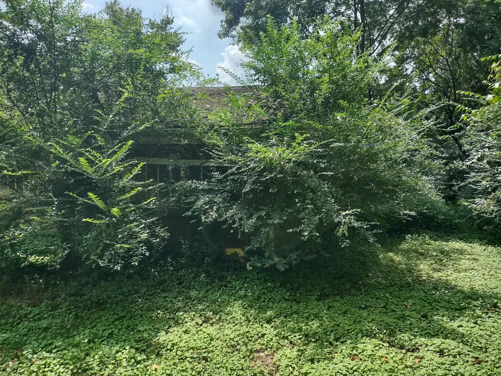315 Lower Clifton Road Versailles KY 40383
