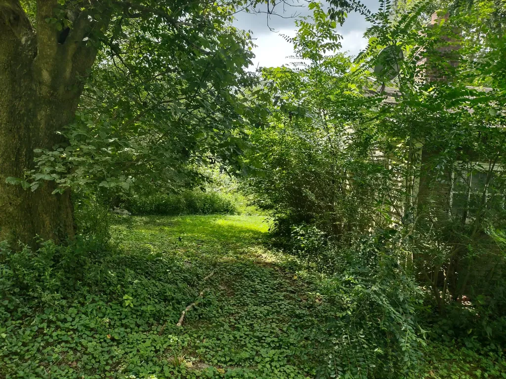 315 Lower Clifton Road Versailles KY 40383