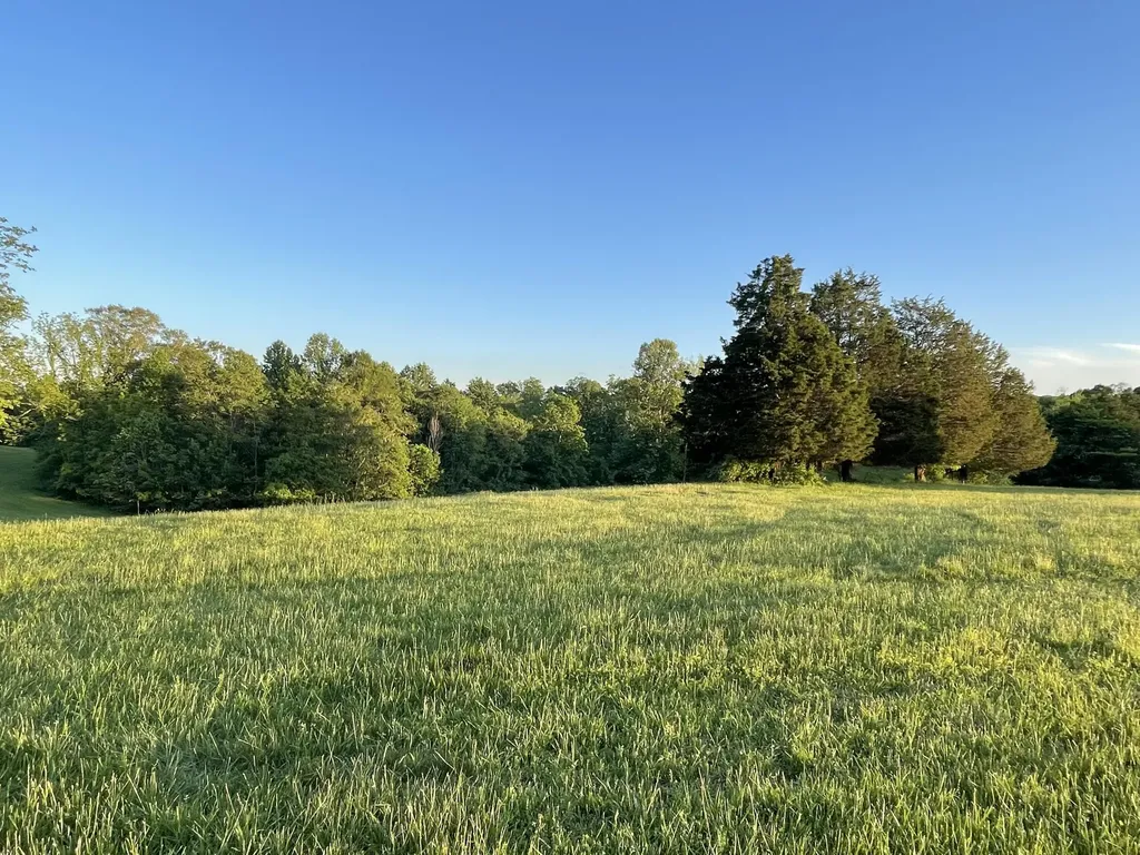 Lot 25 Parks Ridge Russell Springs KY 42642