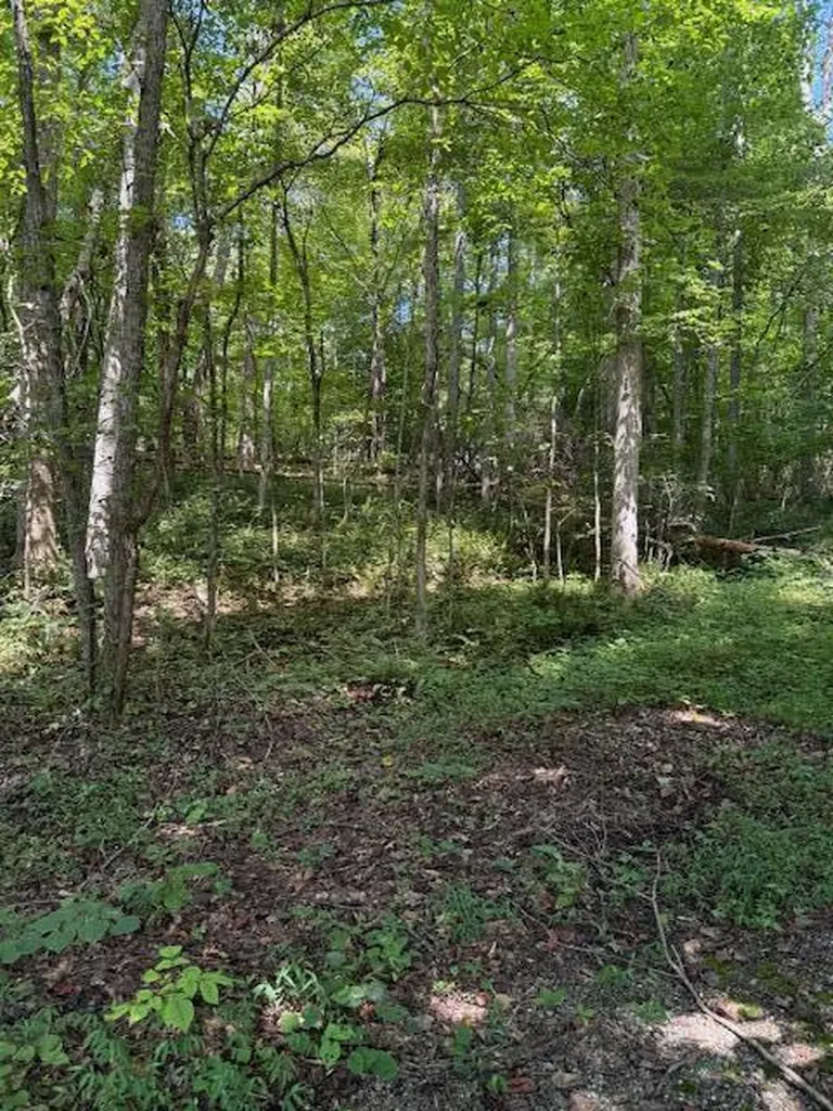 35-36 Bird Lane Burnside KY 42519