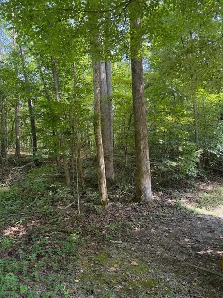35-36 Bird Lane Burnside KY 42519
