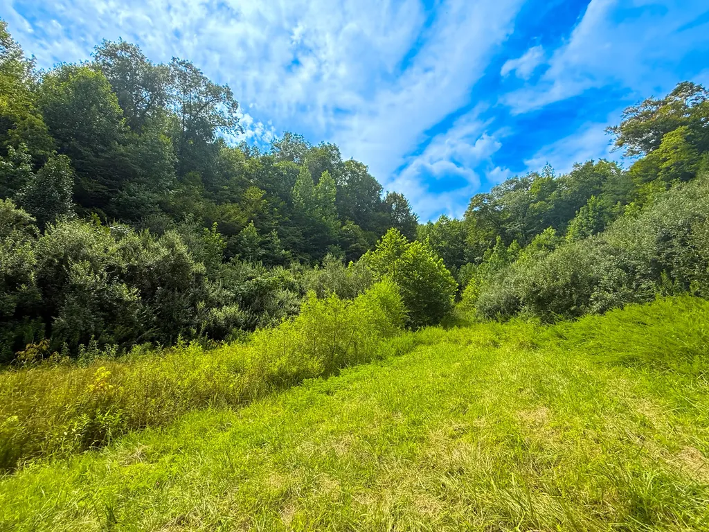 6270 Key 1809 Barbourville KY 40906