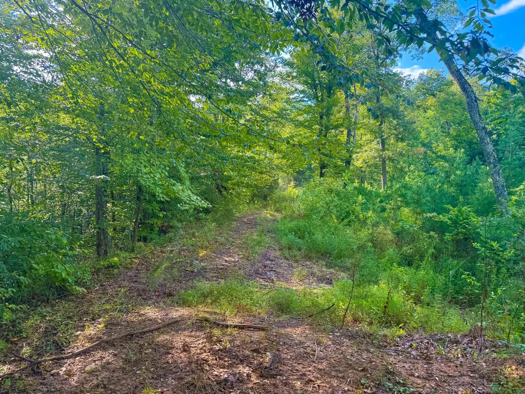 6270 Key 1809 Barbourville KY 40906
