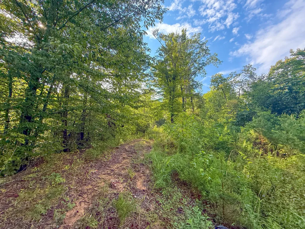 6270 Key 1809 Barbourville KY 40906