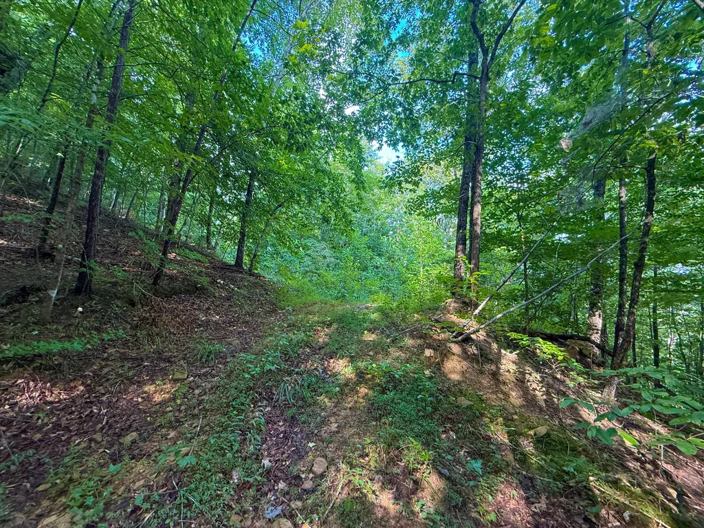6270 Key 1809 Barbourville KY 40906