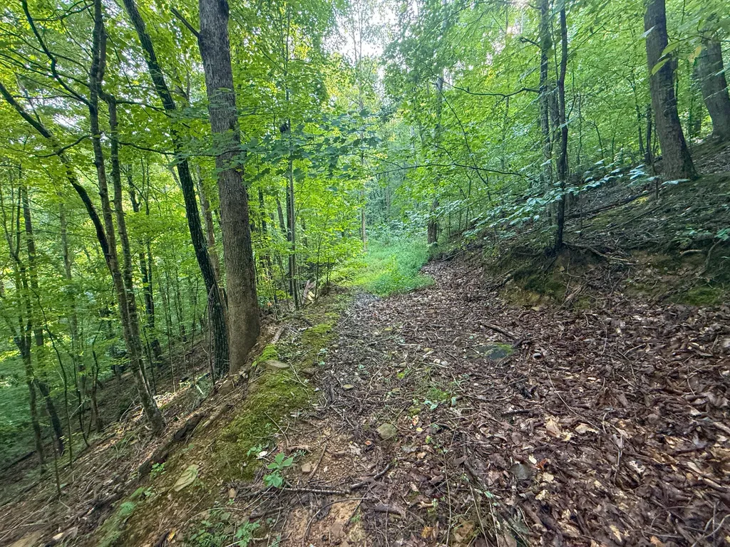 6270 Key 1809 Barbourville KY 40906