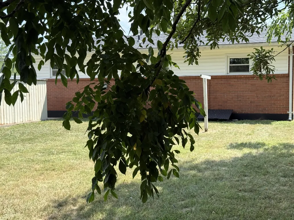 112 Woodford Avenue Berea KY 40403