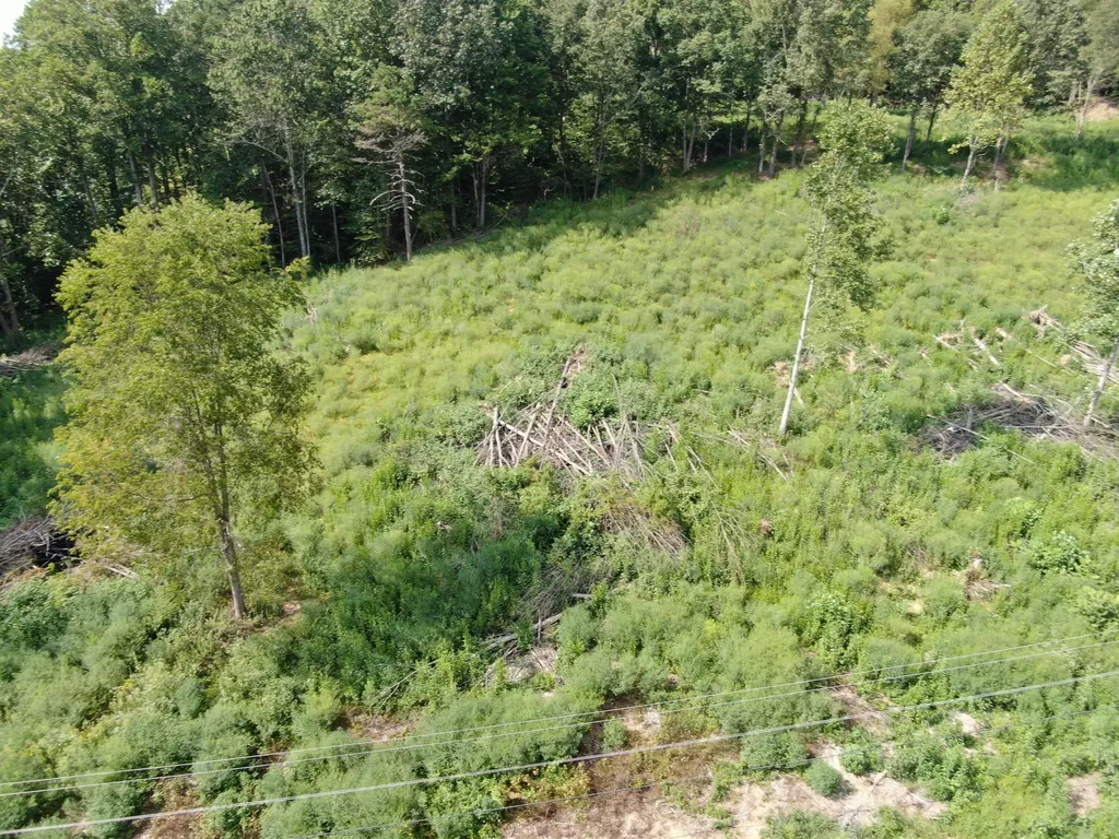 0 Highway 638 Manchester KY 40962